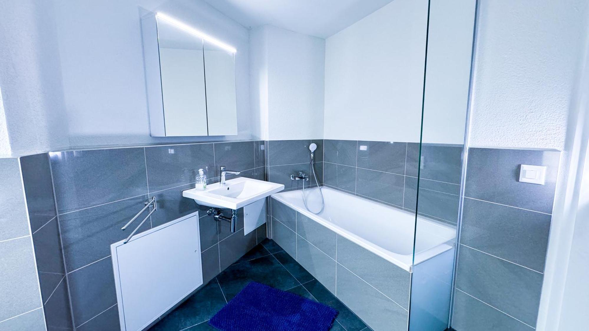 Blue By Freihofapartments * Brugg (Aargau)